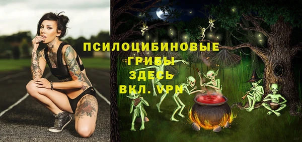 ГАЛЛЮЦИНОГЕННЫЕ ГРИБЫ Балабаново