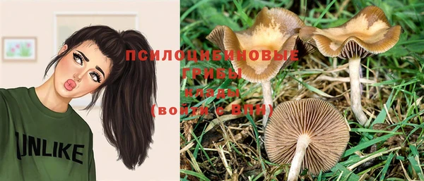 ГАЛЛЮЦИНОГЕННЫЕ ГРИБЫ Балабаново